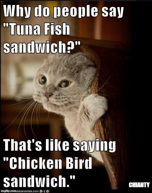 Tuna Fish | CHIANTY | image tagged in sandwich | made w/ Imgflip meme maker