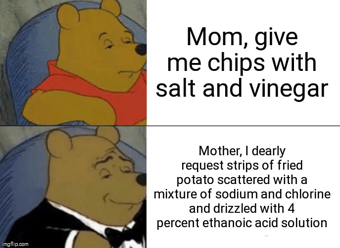 Tuxedo Winnie The Pooh Meme | Mom, give me chips with salt and vinegar; Mother, I dearly request strips of fried potato scattered with a mixture of sodium and chlorine and drizzled with 4 percent ethanoic acid solution | image tagged in memes,tuxedo winnie the pooh | made w/ Imgflip meme maker