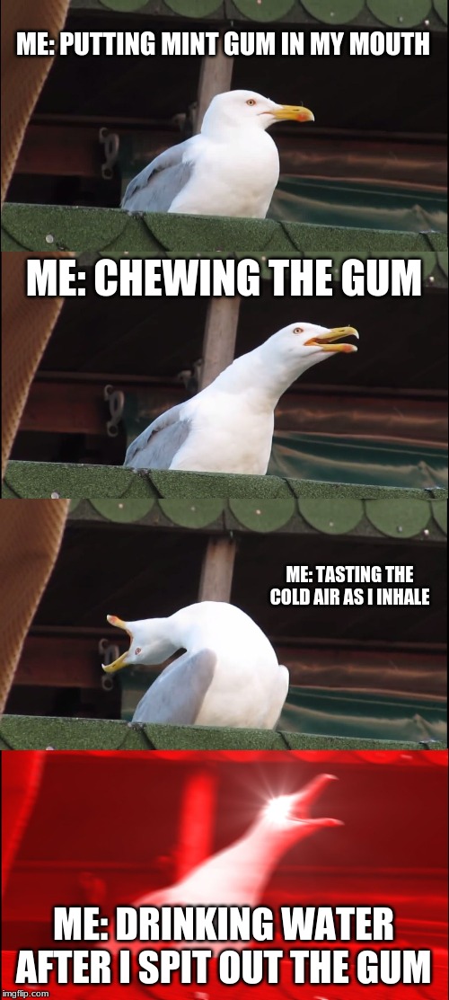 Inhaling Seagull Meme | ME: PUTTING MINT GUM IN MY MOUTH; ME: CHEWING THE GUM; ME: TASTING THE COLD AIR AS I INHALE; ME: DRINKING WATER AFTER I SPIT OUT THE GUM | image tagged in memes,inhaling seagull | made w/ Imgflip meme maker