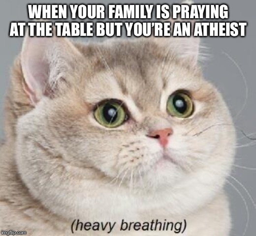 Heavy Breathing Cat Meme | WHEN YOUR FAMILY IS PRAYING AT THE TABLE BUT YOU’RE AN ATHEIST | image tagged in memes,heavy breathing cat | made w/ Imgflip meme maker