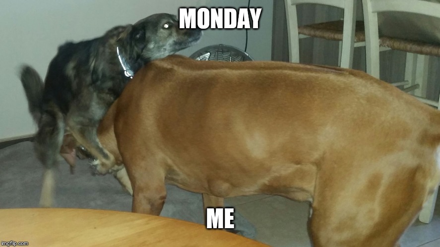 My Day | MONDAY; ME | image tagged in my day | made w/ Imgflip meme maker