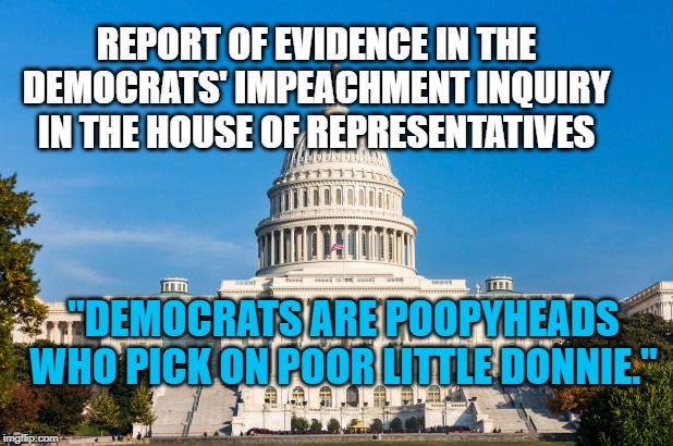 Minority Report | REPORT OF EVIDENCE IN THE DEMOCRATS' IMPEACHMENT INQUIRY IN THE HOUSE OF REPRESENTATIVES; "DEMOCRATS ARE POOPYHEADS WHO PICK ON POOR LITTLE DONNIE." | image tagged in politics | made w/ Imgflip meme maker