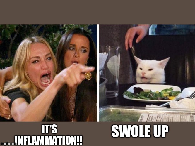 Smudge the cat | SWOLE UP; IT'S INFLAMMATION!! | image tagged in smudge the cat | made w/ Imgflip meme maker