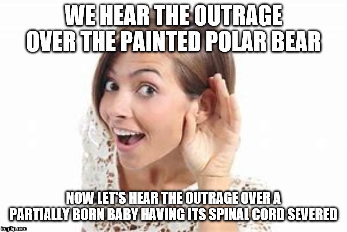 I'm waiting | WE HEAR THE OUTRAGE OVER THE PAINTED POLAR BEAR; NOW LET'S HEAR THE OUTRAGE OVER A PARTIALLY BORN BABY HAVING ITS SPINAL CORD SEVERED | image tagged in woman with hand to ear,memes | made w/ Imgflip meme maker