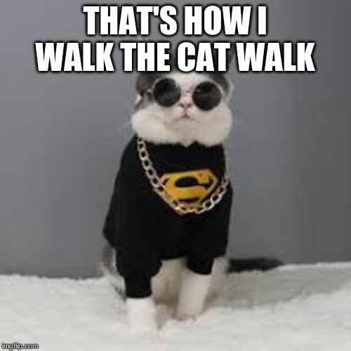 THAT'S HOW I WALK THE CAT WALK | made w/ Imgflip meme maker