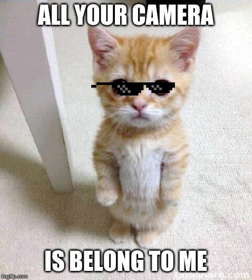 Cute Cat Meme | ALL YOUR CAMERA IS BELONG TO ME | image tagged in memes,cute cat | made w/ Imgflip meme maker