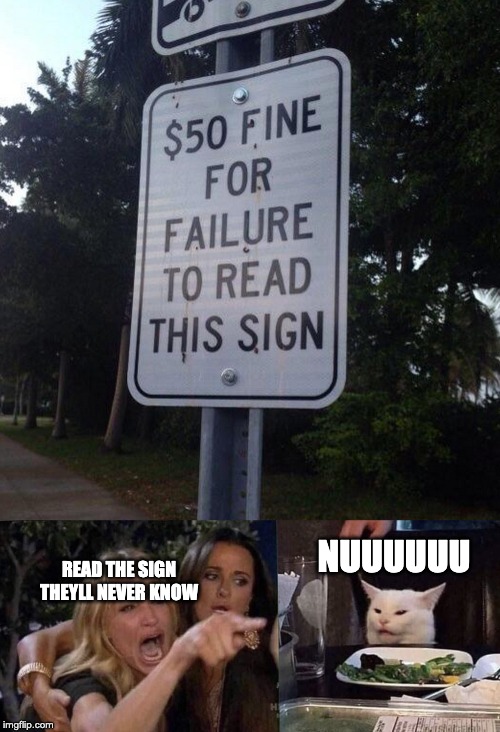NUUUUUU; READ THE SIGN THEYLL NEVER KNOW | image tagged in woman yelling at cat | made w/ Imgflip meme maker