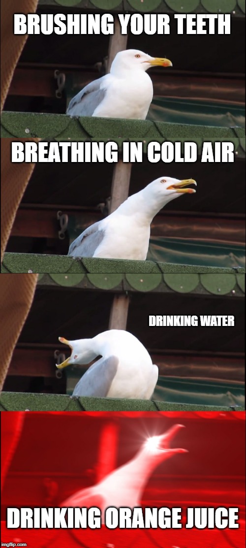 Inhaling Seagull Meme | BRUSHING YOUR TEETH; BREATHING IN COLD AIR; DRINKING WATER; DRINKING ORANGE JUICE | image tagged in memes,inhaling seagull | made w/ Imgflip meme maker
