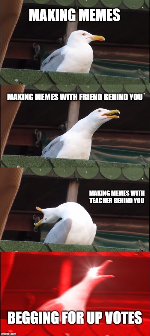 Inhaling Seagull Meme | MAKING MEMES; MAKING MEMES WITH FRIEND BEHIND YOU; MAKING MEMES WITH TEACHER BEHIND YOU; BEGGING FOR UP VOTES | image tagged in memes,inhaling seagull | made w/ Imgflip meme maker