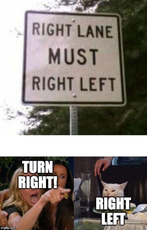 TURN RIGHT! RIGHT LEFT | image tagged in memes,woman yelling at cat | made w/ Imgflip meme maker