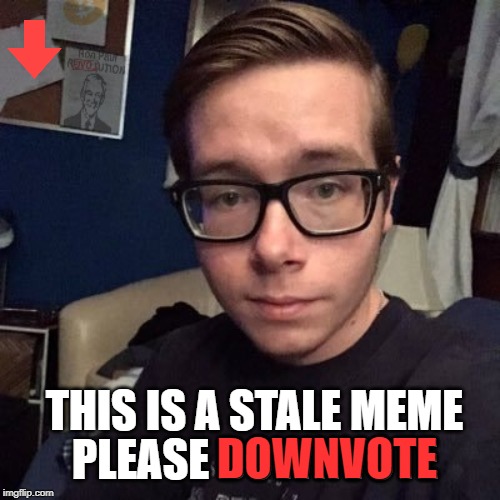 PLEASE DOWNVOTE; THIS IS A STALE MEME; DOWNVOTE | image tagged in nikolas lemini | made w/ Imgflip meme maker