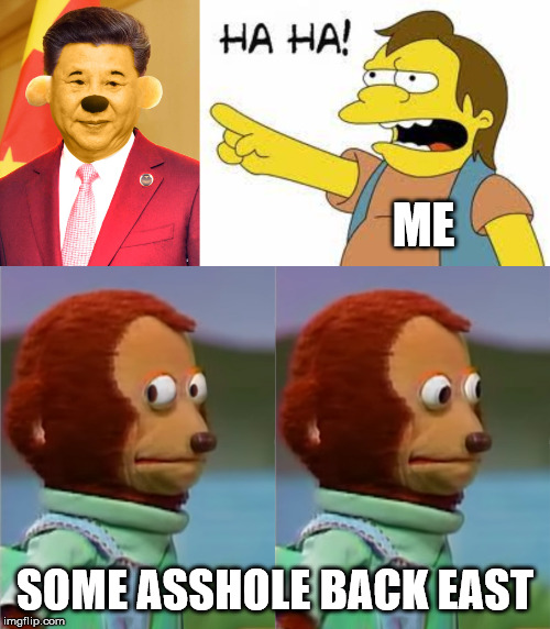 ME; SOME ASSHOLE BACK EAST | image tagged in china,xi pooh,pooh,xi jinping,jinping pooh,pooh ping | made w/ Imgflip meme maker