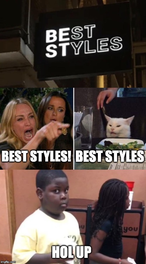 BEST STYLES; BEST STYLES! HOL UP | image tagged in woman yelling at cat | made w/ Imgflip meme maker