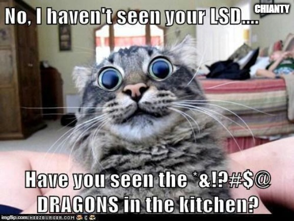 LSD | CHIANTY | image tagged in dragons | made w/ Imgflip meme maker