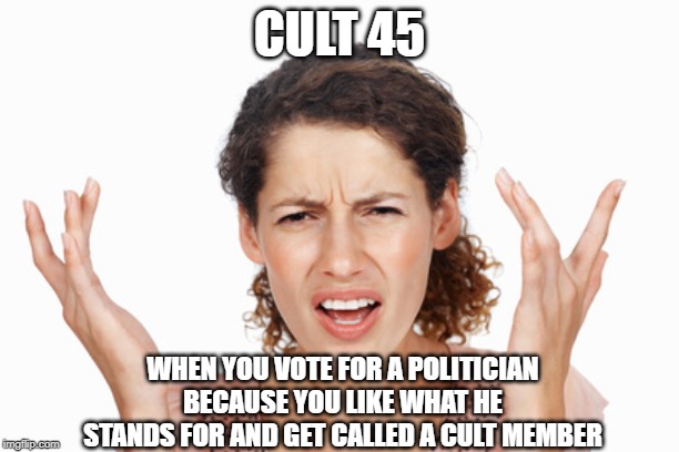 Indignant | CULT 45; WHEN YOU VOTE FOR A POLITICIAN BECAUSE YOU LIKE WHAT HE STANDS FOR AND GET CALLED A CULT MEMBER | image tagged in indignant | made w/ Imgflip meme maker
