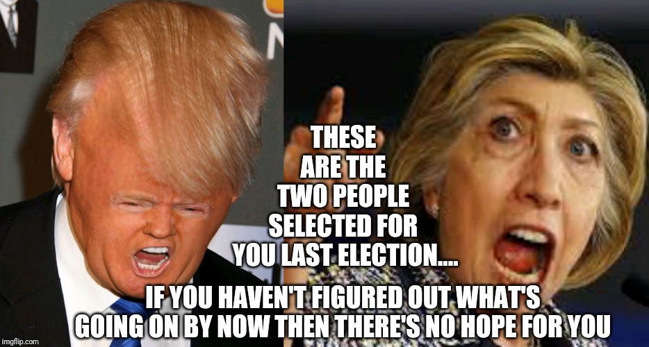 THESE ARE THE TWO PEOPLE SELECTED FOR; YOU LAST ELECTION.... IF YOU HAVEN'T FIGURED OUT WHAT'S GOING ON BY NOW THEN THERE'S NO HOPE FOR YOU | image tagged in election fraud | made w/ Imgflip meme maker