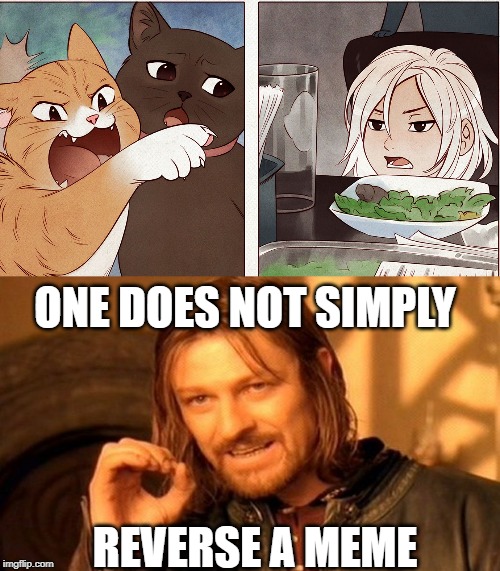 It's reversed | ONE DOES NOT SIMPLY; REVERSE A MEME | image tagged in memes,one does not simply,cats,woman,woman yelling at cat | made w/ Imgflip meme maker