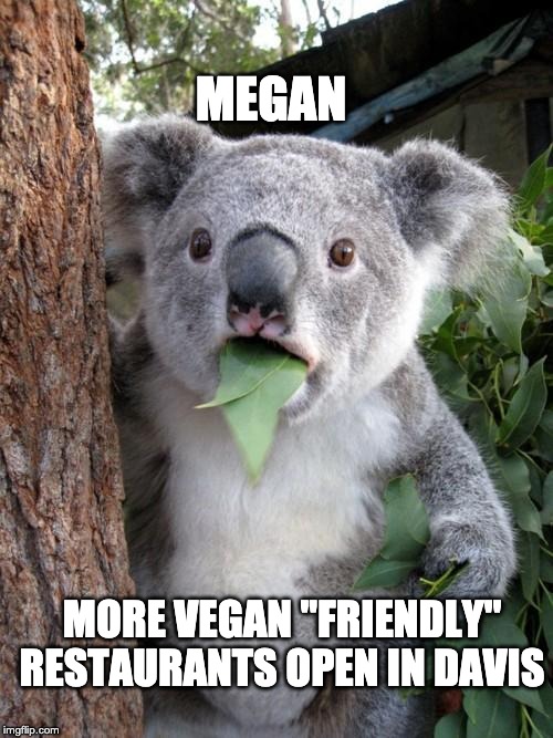 Surprised Koala Meme | MEGAN; MORE VEGAN "FRIENDLY" RESTAURANTS OPEN IN DAVIS | image tagged in memes,surprised koala | made w/ Imgflip meme maker