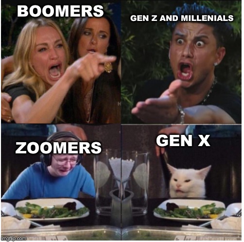 team arguement | BOOMERS; GEN Z AND MILLENIALS; GEN X; ZOOMERS | image tagged in team arguement | made w/ Imgflip meme maker