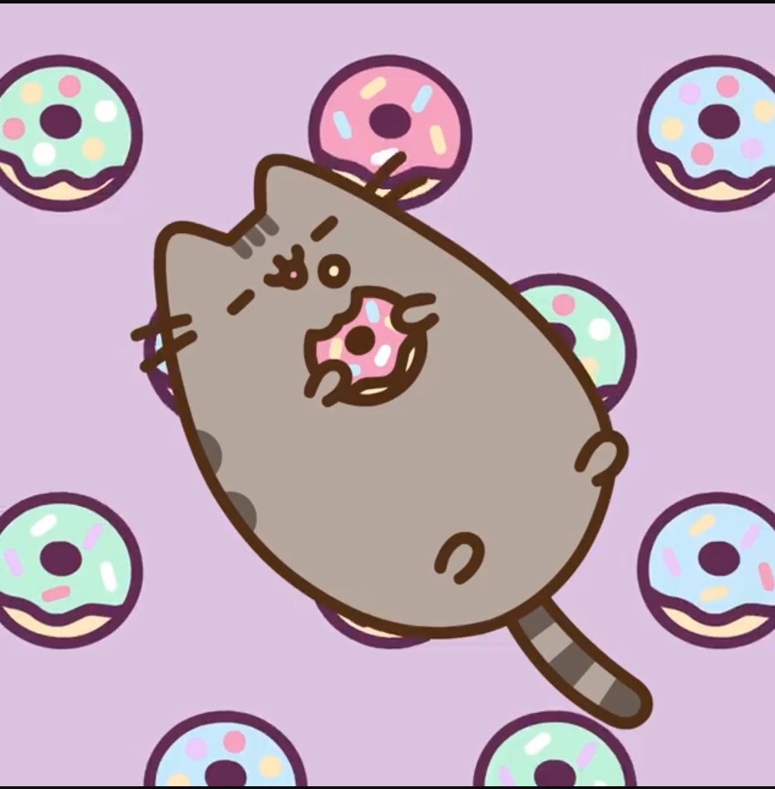 Lazy Pusheen Blank Meme Template