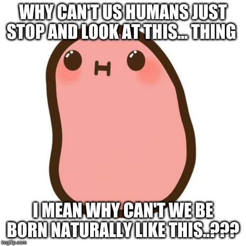 Lazy POTATO | WHY CAN'T US HUMANS JUST STOP AND LOOK AT THIS... THING; I MEAN WHY CAN'T WE BE BORN NATURALLY LIKE THIS..??? | image tagged in lazy potato | made w/ Imgflip meme maker