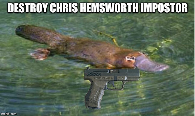 Platypus by Strongly Opinionated Platypus | DESTROY CHRIS HEMSWORTH IMPOSTOR | image tagged in platypus by strongly opinionated platypus | made w/ Imgflip meme maker