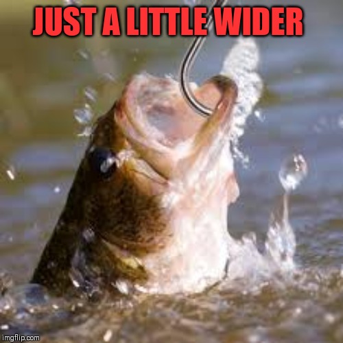 fish hook | JUST A LITTLE WIDER | image tagged in fish hook | made w/ Imgflip meme maker
