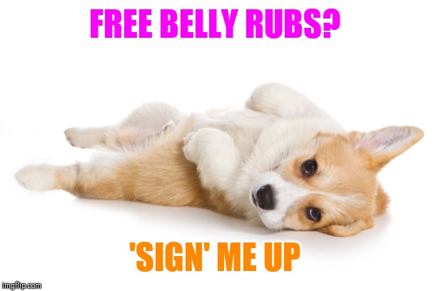 Give me a belly rub | FREE BELLY RUBS? 'SIGN' ME UP | image tagged in give me a belly rub | made w/ Imgflip meme maker