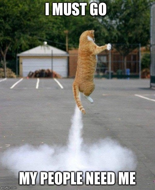 Farting Cat | I MUST GO; MY PEOPLE NEED ME | image tagged in farting cat | made w/ Imgflip meme maker