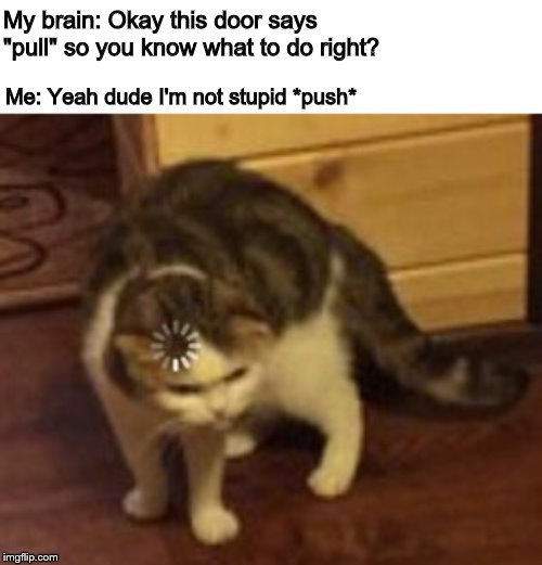 Loading cat | My brain: Okay this door says "pull" so you know what to do right? Me: Yeah dude I'm not stupid *push* | image tagged in loading cat | made w/ Imgflip meme maker
