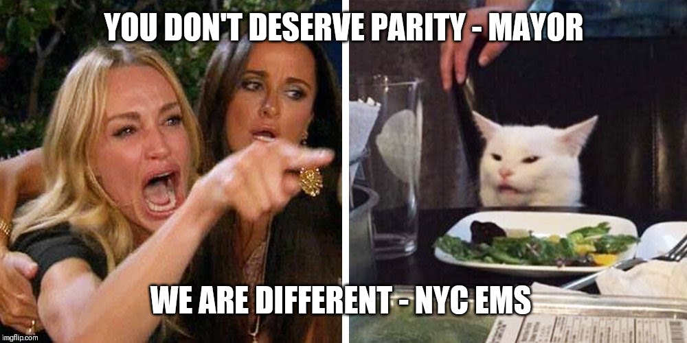 Smudge the cat | YOU DON'T DESERVE PARITY - MAYOR; WE ARE DIFFERENT - NYC EMS | image tagged in smudge the cat | made w/ Imgflip meme maker