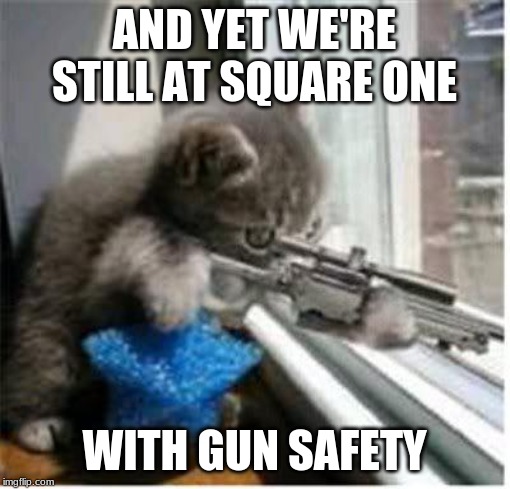 cats with guns | AND YET WE'RE STILL AT SQUARE ONE WITH GUN SAFETY | image tagged in cats with guns | made w/ Imgflip meme maker