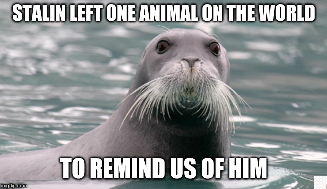 STALIN LEFT ONE ANIMAL ON THE WORLD; TO REMIND US OF HIM | image tagged in fun,funny,russia | made w/ Imgflip meme maker