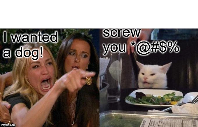 Woman Yelling At Cat Meme | I wanted a dog! screw you *@#$% | image tagged in memes,woman yelling at cat | made w/ Imgflip meme maker