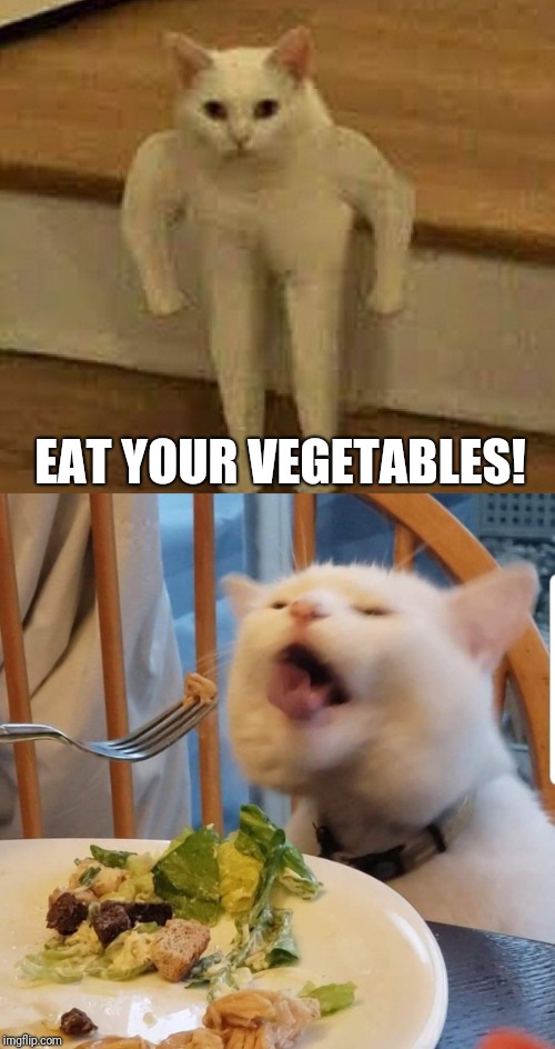 Don't Forget |  EAT YOUR VEGETABLES! | image tagged in cats,cat,strong,vegetarian,vegetables | made w/ Imgflip meme maker