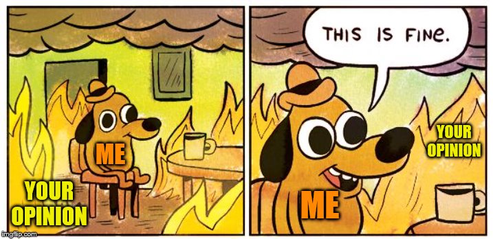 Don't worry yourself over other's opinions. As long as you are positive about yourself, you don't need other's opinions. | YOUR OPINION; ME; YOUR OPINION; ME | image tagged in this is fine dog | made w/ Imgflip meme maker