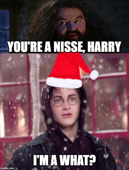 You're a nisse, Harry |  YOU'RE A NISSE, HARRY; I'M A WHAT? | image tagged in harry potter | made w/ Imgflip meme maker