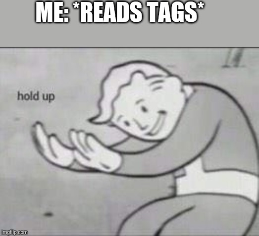 Fallout Hold Up | ME: *READS TAGS* | image tagged in fallout hold up | made w/ Imgflip meme maker