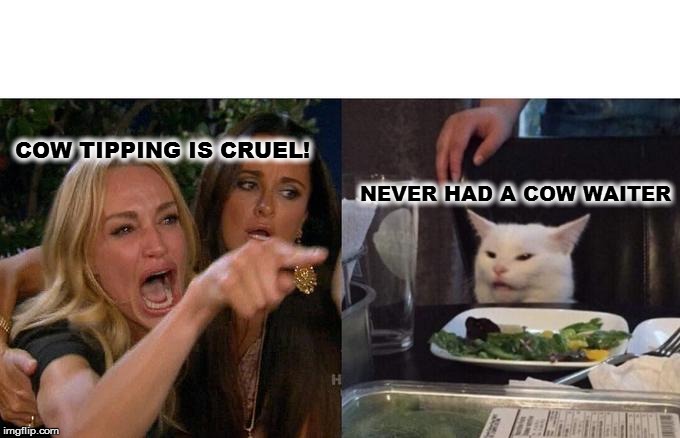 Woman Yelling At Cat | COW TIPPING IS CRUEL! NEVER HAD A COW WAITER | image tagged in memes,woman yelling at cat | made w/ Imgflip meme maker