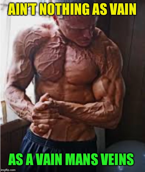AIN’T NOTHING AS VAIN AS A VAIN MANS VEINS | made w/ Imgflip meme maker