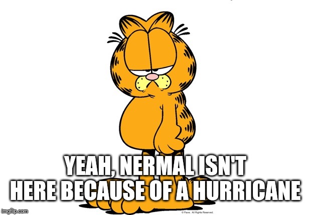 Grumpy Garfield | YEAH, NERMAL ISN'T HERE BECAUSE OF A HURRICANE | image tagged in grumpy garfield | made w/ Imgflip meme maker