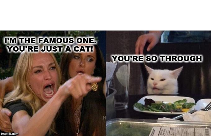 Woman Yelling At Cat | I'M THE FAMOUS ONE. 
 YOU'RE JUST A CAT! YOU'RE SO THROUGH | image tagged in memes,woman yelling at cat | made w/ Imgflip meme maker