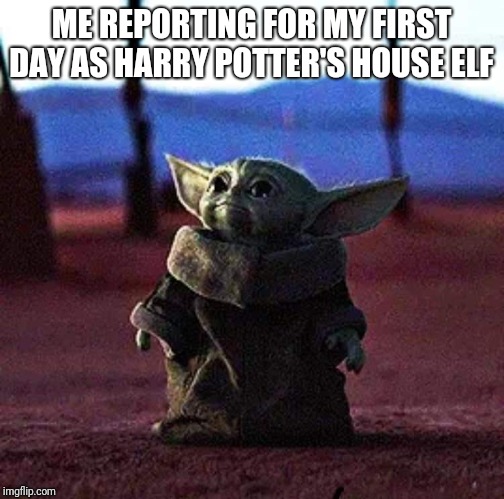 Baby Yoda | ME REPORTING FOR MY FIRST DAY AS HARRY POTTER'S HOUSE ELF | image tagged in baby yoda | made w/ Imgflip meme maker