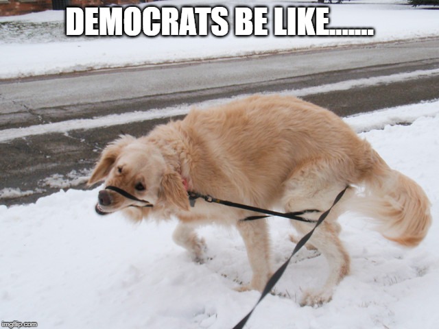 Crossfit rope climbs | DEMOCRATS BE LIKE....... | image tagged in crossfit rope climbs | made w/ Imgflip meme maker