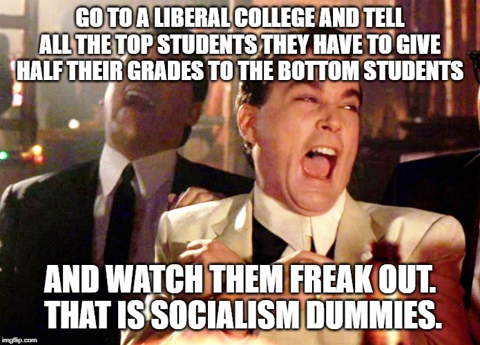Good Fellas Hilarious Meme | GO TO A LIBERAL COLLEGE AND TELL ALL THE TOP STUDENTS THEY HAVE TO GIVE HALF THEIR GRADES TO THE BOTTOM STUDENTS AND WATCH THEM FREAK OUT.   | image tagged in memes,good fellas hilarious | made w/ Imgflip meme maker