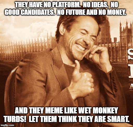 laughing | THEY HAVE NO PLATFORM.  NO IDEAS.  NO GOOD CANDIDATES.  NO FUTURE AND NO MONEY. AND THEY MEME LIKE WET MONKEY TURDS!  LET THEM THINK THEY AR | image tagged in laughing | made w/ Imgflip meme maker