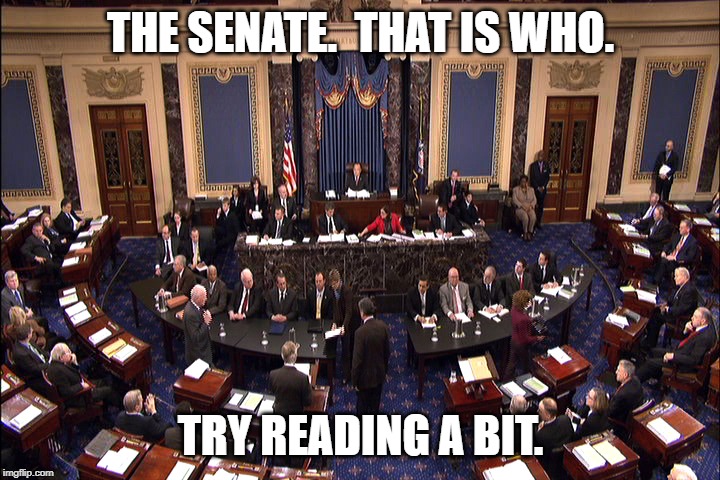 Senate floor | THE SENATE.  THAT IS WHO. TRY READING A BIT. | image tagged in senate floor | made w/ Imgflip meme maker