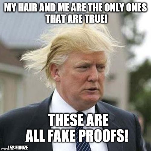 My hair, me, and the fake proofs | MY HAIR AND ME ARE THE ONLY ONES
 THAT ARE TRUE! THESE ARE ALL FAKE PROOFS! LES.FIOUZE | image tagged in donald trump | made w/ Imgflip meme maker
