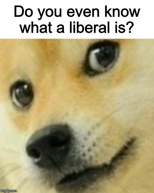 Seriously, does anyone on this site know what a liberal is? | Do you even know what a liberal is? | image tagged in skeptical doge,memes,doge,liberal | made w/ Imgflip meme maker