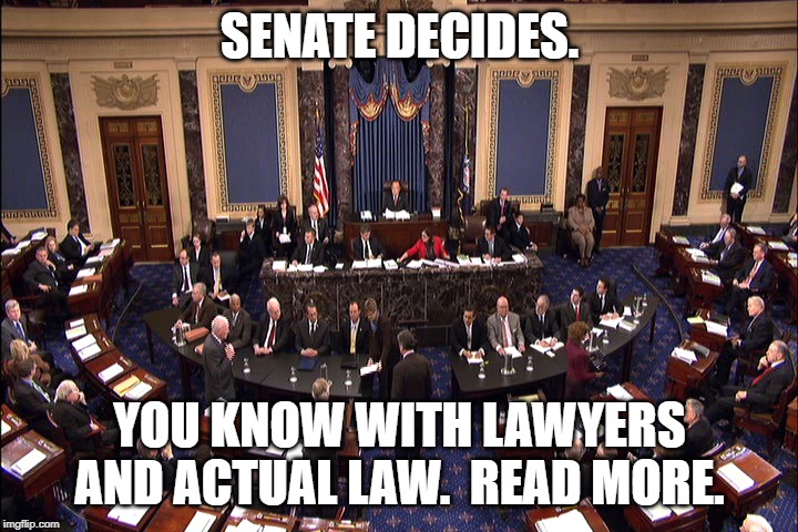 Senate floor | SENATE DECIDES. YOU KNOW WITH LAWYERS AND ACTUAL LAW.  READ MORE. | image tagged in senate floor | made w/ Imgflip meme maker